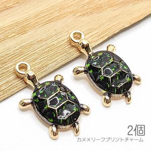 Shapenty ミニメタルフープ ペグスクリューアイピンフック アート