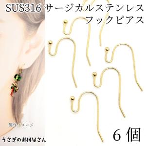304ステンレス フックピアス 通し穴 カン ピアス金具 18ゲージ 6個