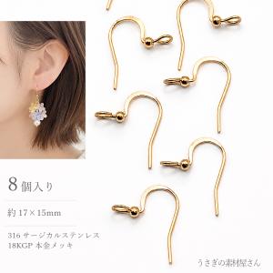 くのみ　サージカルステンレスピアス サージカルステンレス ピアス パーツ 10mm 平皿 8本 316 ステンレス