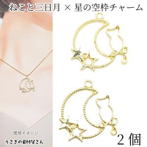 ねこ レジン枠 空枠 猫チャーム 43mm 2個 お色長持ちメッキ ネコ 蝶々