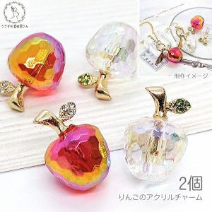 リンゴ チャーム 光沢 キラキラ オーロラ加工 ...の商品画像