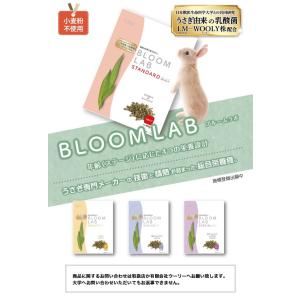WOOLY ブルームラボ スペシャルの詳細画像2