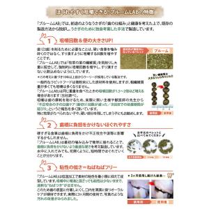 WOOLY ブルームラボ スペシャルの詳細画像5