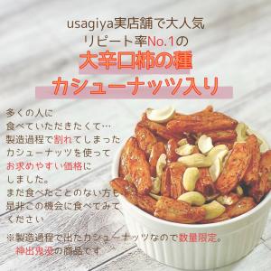 訳アリ大辛種 割れカシューナッツ入り 410g...の詳細画像1