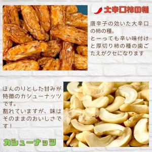 訳アリ大辛種 割れカシューナッツ入り 410g...の詳細画像3