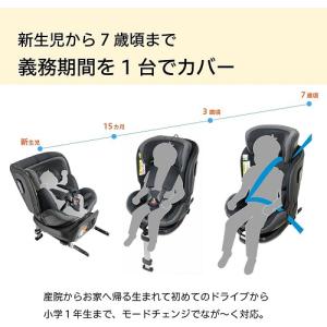 (ブランケットプレゼント) リーマン カイナロ...の詳細画像3