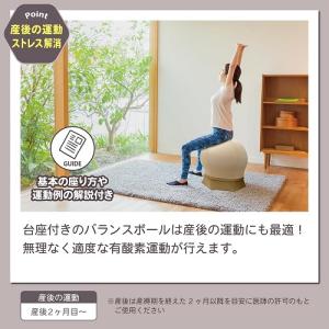 ねんねチェア2 ナチュラルブラウン JTC 3...の詳細画像3