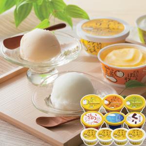 ラ*ン様 昭和レトロ通い袋　不二屋のシャーベット/明治アイスクリーム　ノーシン・ スイーツ アイス Made in 土佐シャーベット 10個セット お