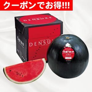 クーポン配布中 お中元 ギフト 2025 JA当麻 でんすけすいか 1玉 約7kg 御中元 夏ギフト フルーツ スイカ