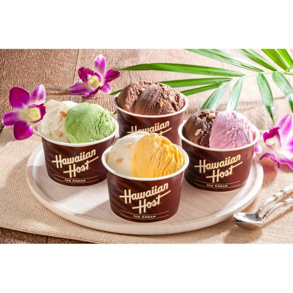 お歳暮 ギフト 2025 ハワイアンホースト マカダミアナッツアイス 4種8個入 御歳暮 冬ギフトお...