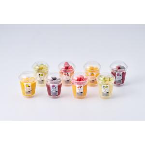 お中元 ギフト 2026 ホシフルーツ フローズ...の商品画像