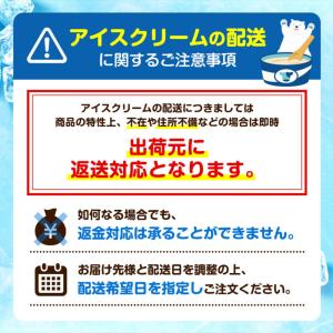 お中元 ギフト 2026 ホシフルーツ フロー...の詳細画像5