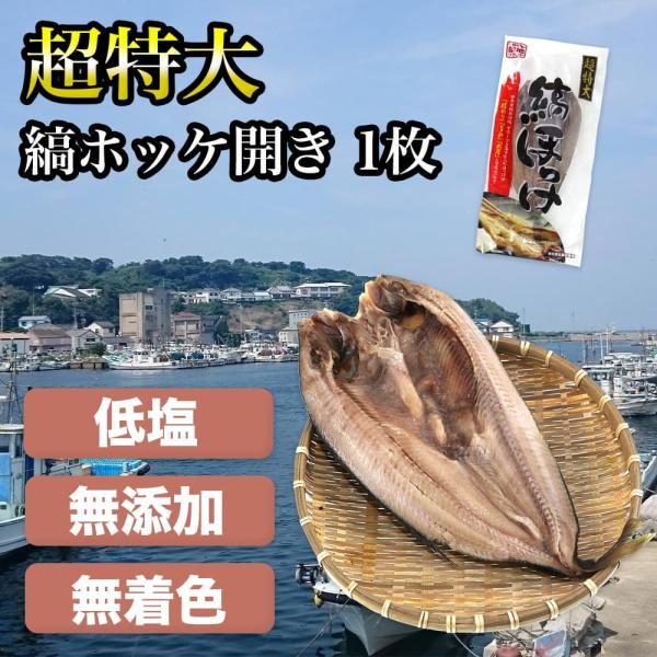 干物 ホッケ しまほっけ 特大縞ホッケ開き 1枚