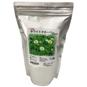 トキタ種苗 ナッパ 菜っ葉 なっぱ 灼熱サラダ菜っぱ 20ml : 種苗