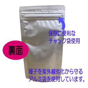 ダイカンドラ 防草 福花園種苗 ダイカンドラ種...の詳細画像1