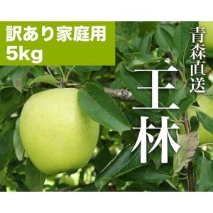 りんご 産地直送 REDAPPLE 青森直送王林 家庭用 5kg