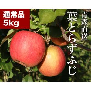 りんご 産地直送 REDAPPLE 青森直送葉とらずふじ 5kg｜うさマートヤフーショップ