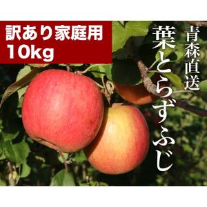 りんご 産地直送 REDAPPLE 青森直送葉とらずふじ 家庭用 10kg