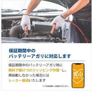 Panasonic カオスバッテリー アイドリ...の詳細画像2
