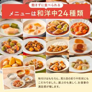 大和製罐 エバースマイル ムース食主菜全種24...の詳細画像3