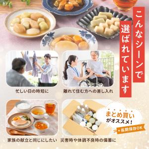大和製罐 エバースマイル ムース食主菜全種24...の詳細画像5