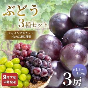 9月下旬以降 ぶどう3種セット（シャインマスカット＋旬の品種2種類）約1.3〜1.5kg