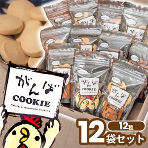 【無添加】クッキー ギフトセット 12種12袋セット SG6 クッキー くっきー ギフト 無添加 洋菓子 アソート セット｜usamart