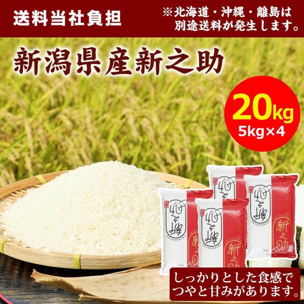 ゲリラP2倍 【令和7年産】田中米穀 新潟県産 新之助 20kg(5kg×4袋) お米 おこめ 国産...