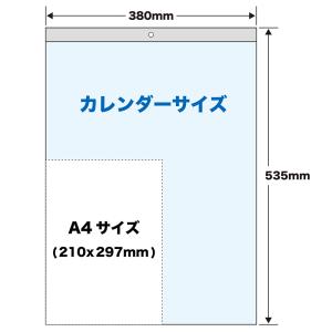トーダン 2026年 カレンダー 壁掛け メガ...の詳細画像3