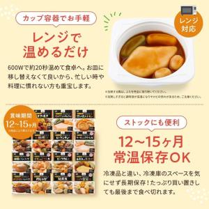 大和製罐 エバースマイル ムース食主菜 12種...の詳細画像4