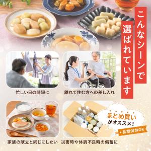 大和製罐 エバースマイル ムース食主菜 12種...の詳細画像5