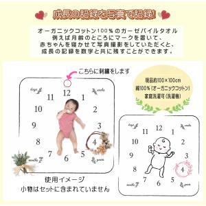 エブリデイアニバ-サリ- オ-ガニックコットン...の詳細画像1