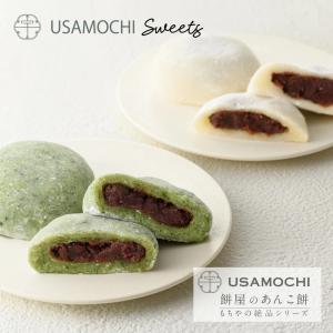 老舗餅屋謹製の あんこ餅 まとめ買い 30個 九州の老舗直送