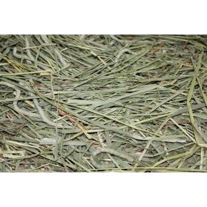 【お買い得】【5個セット】 オリミツ ロングマ...の詳細画像1