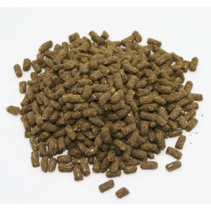 イースター バニーセレクション メンテナンス ...の詳細画像1