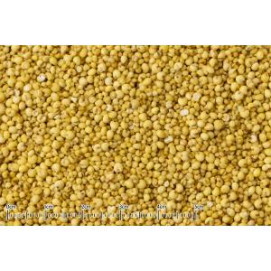 黒瀬ペットフード シード食専用サプリメント食べ...の詳細画像1