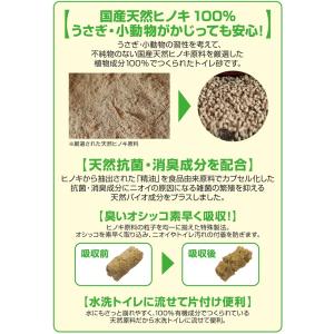 【数量限定特価】GEX ラビレット ヒノキア消...の詳細画像1