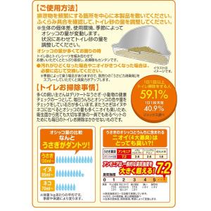 【数量限定特価】GEX ラビレット ヒノキア消...の詳細画像2