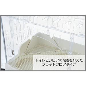 GEX ラビんぐ スマートルームクリア 【アク...の詳細画像2