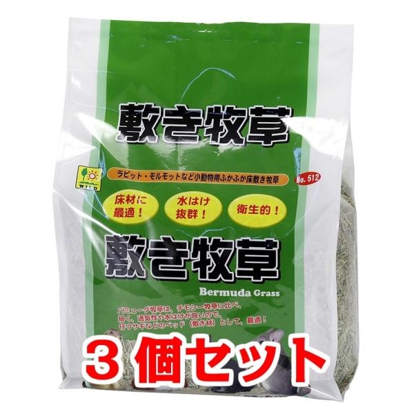 【お買い得】【３個セット】 三晃商会　サンコー　 敷き牧草　１ｋｇ×３個セット