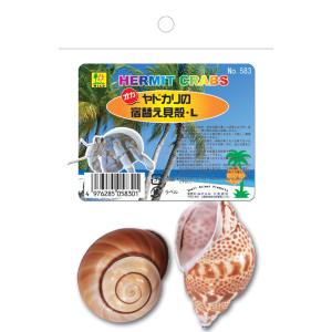 ヤドカリのお宿　{ 貝殻  巻貝 B } 三晃商会 サンコー オカヤドカリの宿替え貝殻（S） (オカヤドカリ用