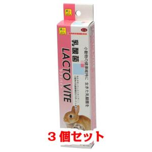 【お買い得】【3個セット】 三晃商会 サンコー ...の商品画像