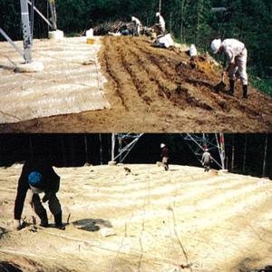 植生シート カッコウ 1×20m 目串付 張芝...の詳細画像1