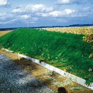 植生シート カッコウ 1×20m 目串付 張芝...の詳細画像2