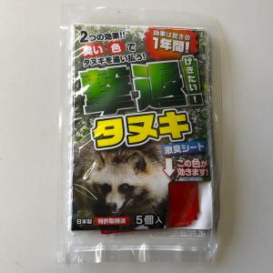 タヌキ ta-0383-s.jpg