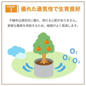 ルートラップ ポット 30A 10枚 直径 4...の詳細画像2