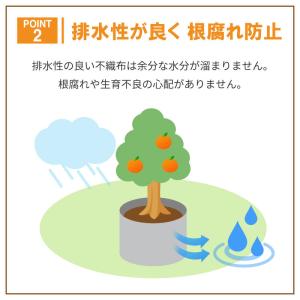 ルートラップ ポット 30A 10枚 直径 4...の詳細画像3