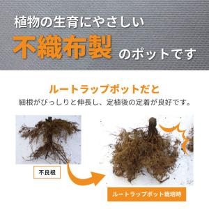 ルートラップ ポット 30A 10枚 直径 4...の詳細画像4