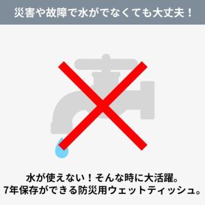 ウェットティッシュ 10年保存できる 防災用ウ...の詳細画像2