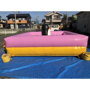 受注生産 エア遊具 ボールブール ペンギン e...の詳細画像2